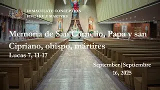 Memoria de San Martin de Tours, obispo