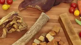 Best Place for Pet Supplies - Downtown Pet Supply Pet Store Video