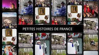 Elevage insolite d'alpagas &agrave; Quesnoy-sur-De&ucirc;le