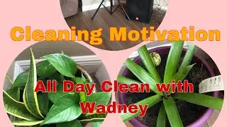 CLEAN, TIDY AND LOADING DISHWASHER | SPEED CLEAN WITH ME | 2021