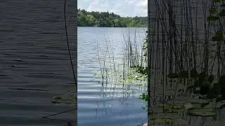 WAIT till end 😍 #trendingshorts #canadalife #hearlake#trendingshorts
