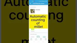 Automatically count millet with mobile phone  - 