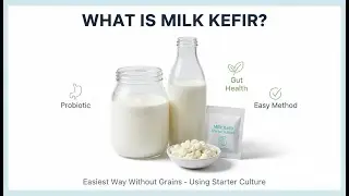 How to Use Milk Kefir Starter Culture | Easy Homemade Kefir Guide for Beginners