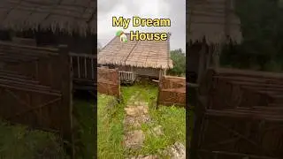 Rainy Day at a Bamboo Dream House #tuhaikinahi #shorts