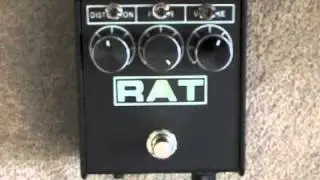 Modded RAT