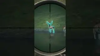 DIAMOND FALLOW DEER ON GREAT ONE FALLOW GRIND!