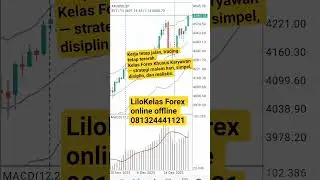 simple dan realistis #dj #music #kucing #forex #tradingbareng #forextrading #tradingcuan #trading