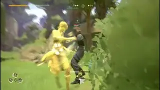 Absolver _ Flashy windfall avoids