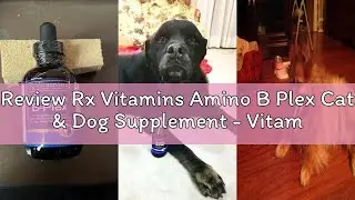 Review Rx Vitamins Amino B Plex Cat & Dog Supplement - Vitamin B Complex Liquid Plus Amino Acids for