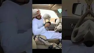 Sheikh hamdan Dubai Prince kindness king with eagle#dubai #trending #youtubeshorts #shorts