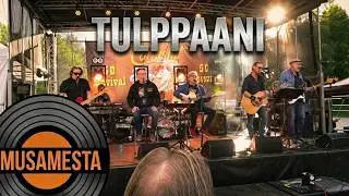 Coitus Int 50 Revival – Tulppaani