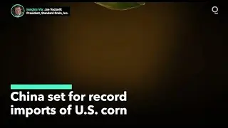 China to Import Record Volumes of U.S. Corn