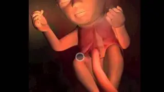 The Journey of a Mother and Her Child