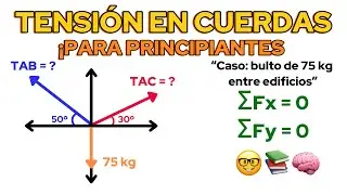 ¿Cómo calcular la tensión en cables? | Ejercicio resuelto paso a paso