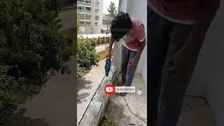 The pigeon net to Installing Balcony Pigeon Nets Safely