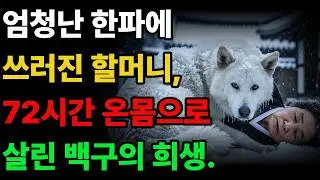 한파속 쓰러진 할머니, 온몸으로 살린 진돗개 백구의 희생  #진돗개사연 #백구 #감동사연 #황혼사연 #노후사연 #강아지 #오디오북