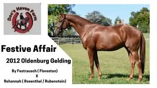 Festive Affair **** DRESSAGE MDHT 1 NEH ****