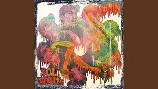 Sol Searching