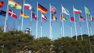 Listening to the flags waving in the strong wind