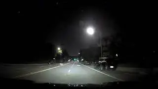 Coyote crossing street
