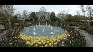 Exploring Lewis Ginter Botanical Gardens