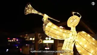 Novoročn&iacute; zdravice starosty města Romana Schulze