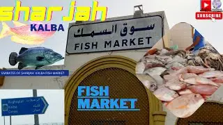 Kalba Fish Market in Sharjah U.A.E.|Sharjah Fish Market|दुबई