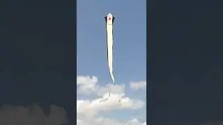 Matara Kite Festival