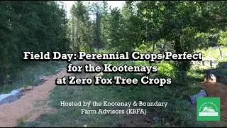 Perennial Crops Perfect for the Kootenays at Zero Fox Tree Crops | PART 1