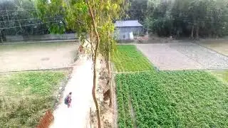 new blogs video | new village blog video