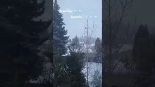 #snowfall #snow #snowflake #snowflakes #snowfallseason #winter #winterspecial #edmonton #canada