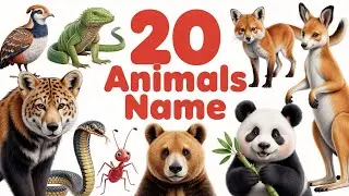 A to T Animals Name in English | Animals Sound with Pictures | Kids Learning Video 