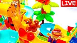🧘 7 Hour Zen Marble Run | Pure ASMR for Deep Relaxation & Better Sleep