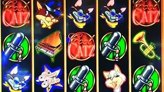 GREAT WINS ON COOL CATZ SLOTS AT CHOCTAW CASINO