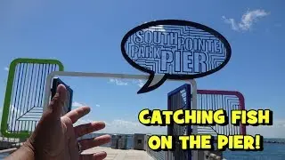 We HIT A FLORIDA PIER for MULTI-SPECIES...! (Fishing South Pointe Pier) (2019 Miami Trip -- 3/5)