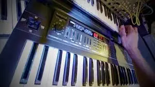 Two Korg Poly 800 MKii - Full 8 note polyphony in simulated 
