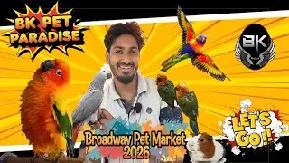 Exploring BK Pet Paradise at Chennai&rsquo;s Iconic Broadway Pet Market