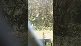 Federal Sign & Signal 3T22A yaphank, NY Hi-Lo Sign Signal for EMS pager Test 10/8/18