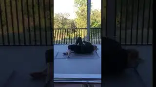 Ground Choke Defense