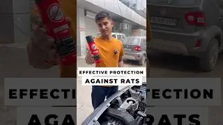 🚗🐭 Motul Rat Repellent really works! Tested and proven &ndash; no more unwanted guests under my car!