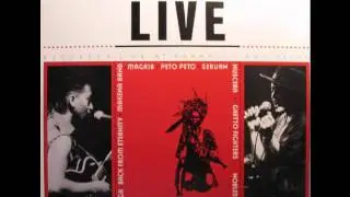 Moluccan Moods Live Volunteers The Crew Song