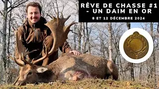 UN DAIM EN OR ! - R&Ecirc;VE DE CHASSE #1