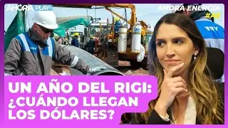 A UN AÑO DEL RIGI: ¿ALCANZA PARA ATRAER INVERSIONES? I Florencia Barragan #ahoraenergía