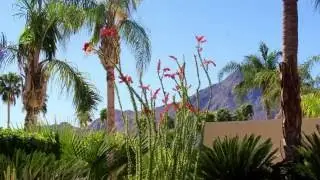 75621 Painted Desert Drive