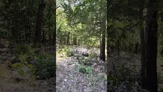 800-11747-000  1103 Wisconsin Ave, Horseshoe Bend, AR   #arkansaslandforsale #ownerfinancingland
