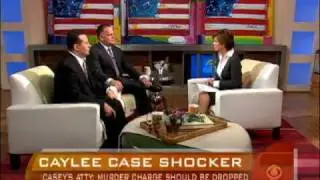 New Caylee Anthony Evidence