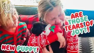🙀 CHRISTMAS PUPPY REACTIONS! 🎄🎅 BETTER THAN iPHONE! Slyfox Family X-Mas Morning | Slyfox Family