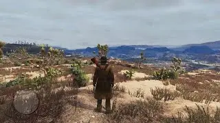Red Dead Redemption 1 PS4 Now has 60FPS!