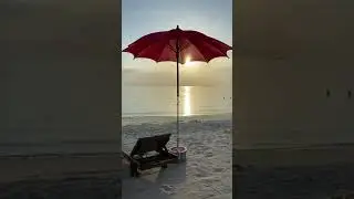 Beach | A backyard beach scene