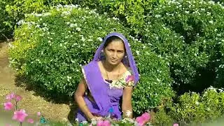 Parmar dineshbhai  zezra